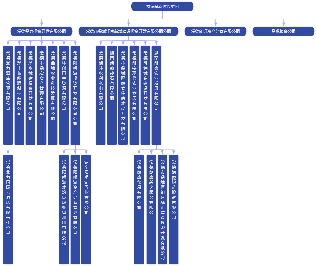 常德高新控股集团有限公司组织架构.png